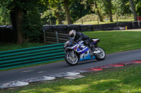 cadwell-no-limits-trackday;cadwell-park;cadwell-park-photographs;cadwell-trackday-photographs;enduro-digital-images;event-digital-images;eventdigitalimages;no-limits-trackdays;peter-wileman-photography;racing-digital-images;trackday-digital-images;trackday-photos